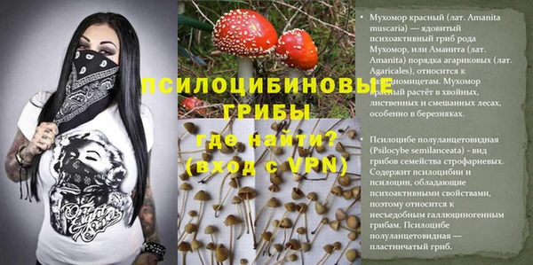mdpv Волосово