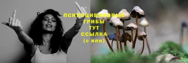 мдма Володарск